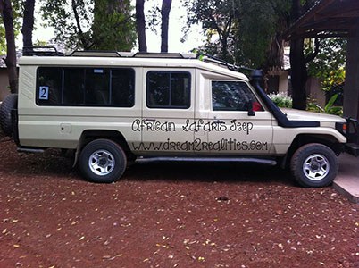 4 by 4 D2r Safari jeep