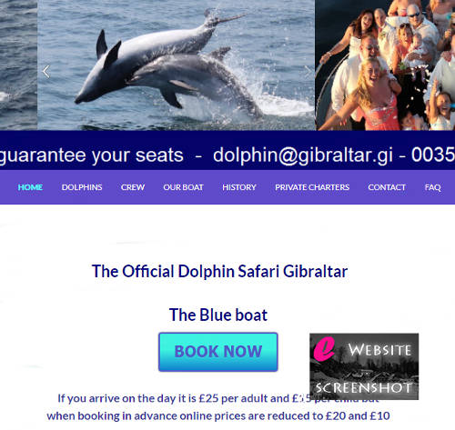Dolphin Safari Gibraltar
