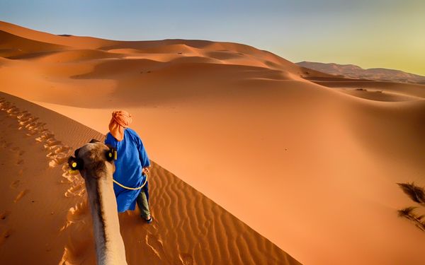 Morocco Camel Trips