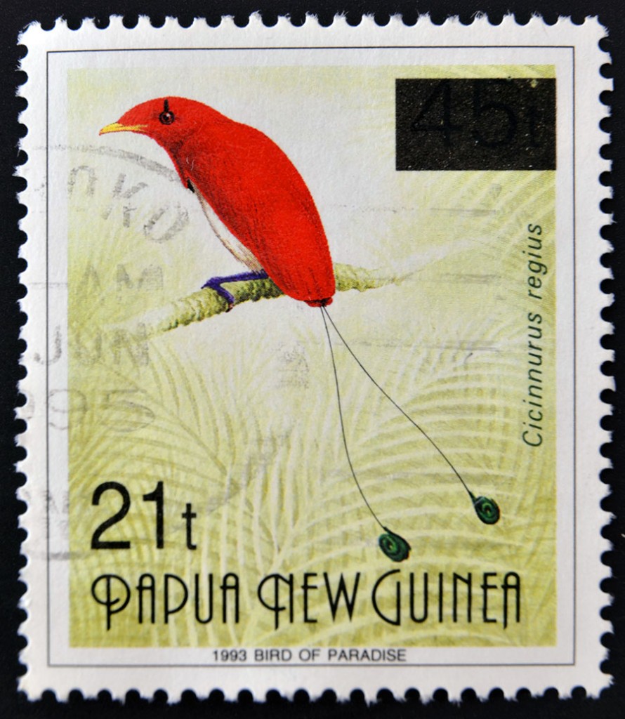 Bird on old stamp