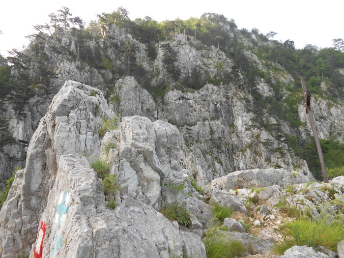 Limestone Walls with Black Pins of Banat