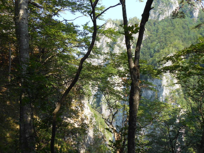 View to the walls of Cheia River Gorges